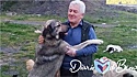 Professor aposentado vira voluntário e faz curso de veterinária para vacinar cães de rua por conta própria. (Foto: Arquivo pessoal/Bilge Haber) 