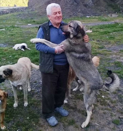 O aposentado Fevzi Uyar tem se dedicado exclusivamente à causa animal há 5 anos. (Foto: Arquivo pessoal/Bilge Haber)